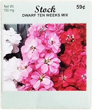 Set of 50 Flower Seed Packets! Flower Seeds in Bulk (50, Stock Dwarf Ten Weeks Mix)