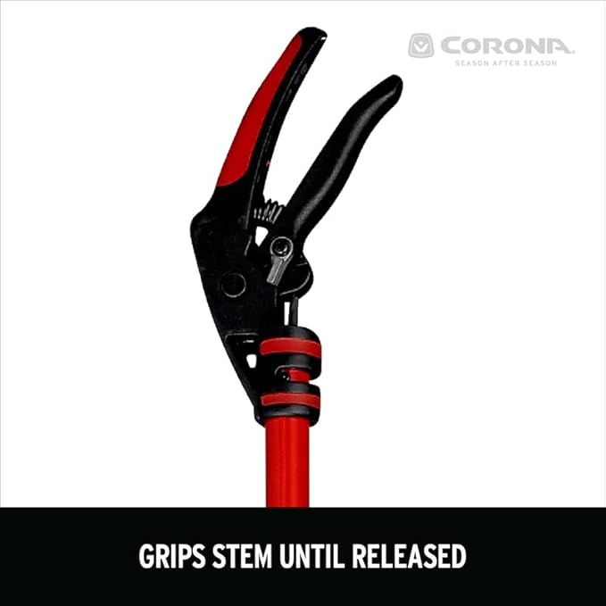 Corona CORONA-7015575, 46-Inch, Red