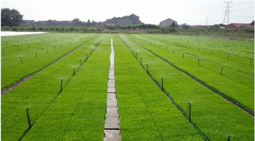 Micro Spray Sprinkler Stake Assembly: 9 Sets Full Circle 360 Degree Watering Nozzles Emitters with Spike and 1/4 inch Tubing for Greenhouse Nursery Garden Drip Irrigation System