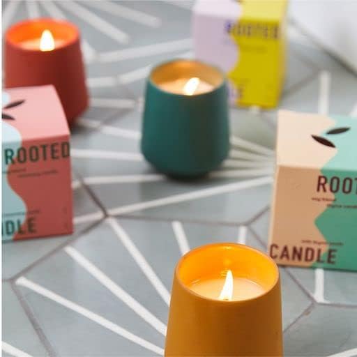 Modern Sprout Rooted Candle Grow Set, Indoor Herb Garden, Seed Starter Set, Organic, Non-GMO, Lavendar & Cedarwood