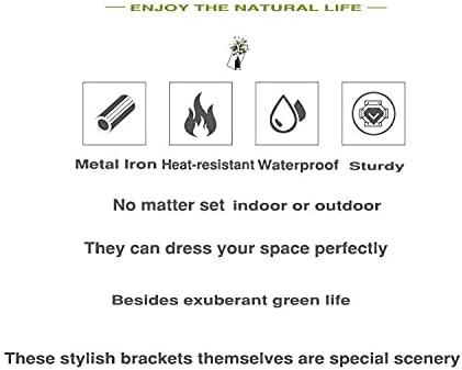 3 Leaves Style Metal Hanging Plant Brackets 12 inches x 7.5 inches, Pack of 2, Wall Mount Plant Hangers, Planter Hooks for Flower Baskets, Bird Feeders in Corridor/Patio/Porch/Garden