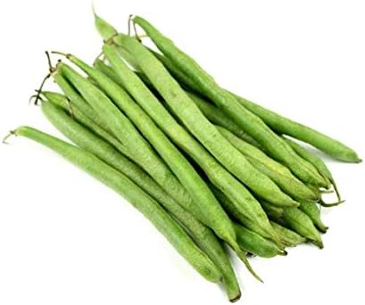 Burpee Stringless Green Bean Seeds for Planting, 50+ Heirloom Seeds Per Packet, (Isla's Garden Seeds), Non GMO Seeds, Botanical Name: Phaseolus vulgaris, 85% Germination Rates, Great Home Garden Gift