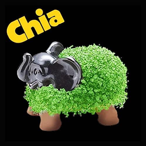 Chia Pet Elephant with Seed Pack, Decorative Pottery Planter, Easy to Do and Fun to Grow, Novelty Gift, Perfect for Any Occasion
