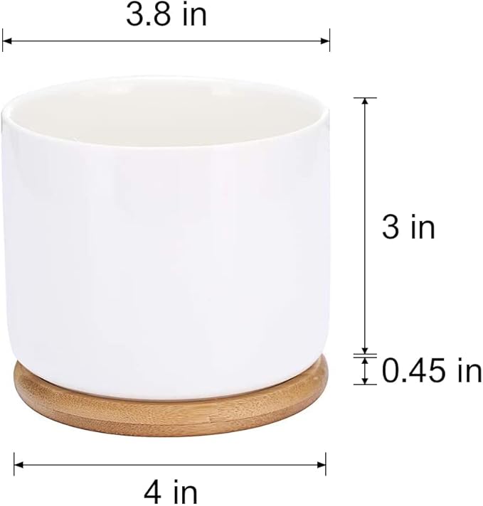 Funny Life Would SUCC Without You Planter Pots, White Ceramic Engraved Mini Succulent Cactus Planter Pot, Home Office Windowsill Plant Pots for Plant Lover Birthday