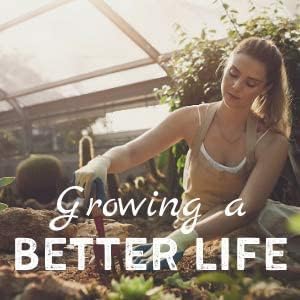 Minute Soil Plus Block - Amended Compressed Coco Coir Fiber Grow Medium - 1 Block = 15 Gallons of Potting Soil (~Wheel Barrow Full) - Enough NPK Added Nutrients to Feed Plants for 1 Season