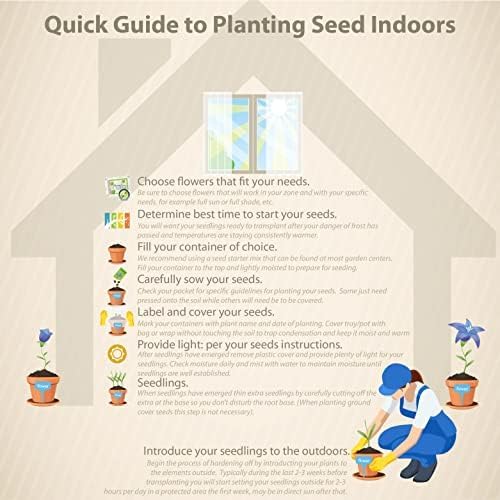 Outsidepride 200 Seeds Perennial Night & Day Scabiosa Pincushion Flower Seed Mix for Planting