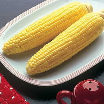 Park Seed Variety of Corn Vegetable Seeds, Plant Seeds, Easy to Grow, Perfect for Harvesting, Bodacious Hybrid, Pack of 200