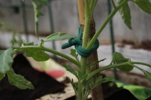 Soft Garden Plant Ties for Indoor & Outdoor Plants - Strong & Stretchy Cut-to-Length Plant Tape for Climbing Plants, Tomato Vines & Home Gardening (130 ft / 40M)