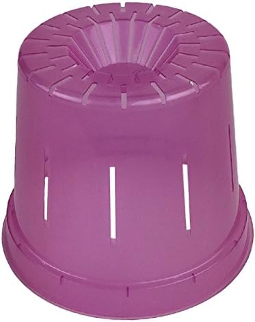 rePotme Slotted Clear Orchid Pots Growers Assortment (8 pots - 2 Each, Rose Quartz)