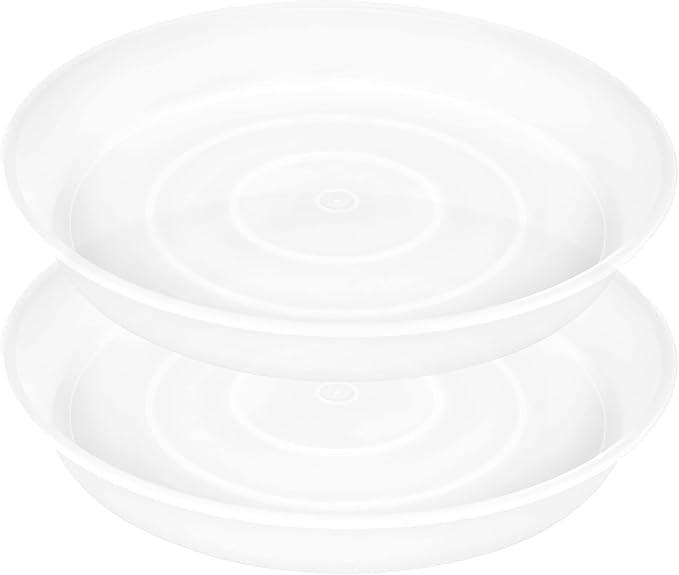 2 Pack of 19 inch Plant Saucer, 2.7" Depth Tray, Large Deep Garden Plastic Flower Planter Plant Trays for Indoors Outdoor Bath Bath (19", Clear)