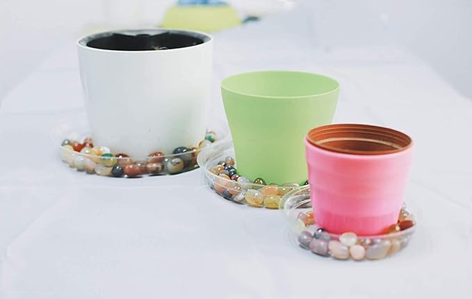 TRUEDAYS 8 Inch 5 Pack Clear Plant Saucers Flower Pot Tray Excellent for Indoor & Outdoor Plants