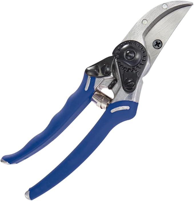 ColorPoint Bypass Pro Pruner - Blue
