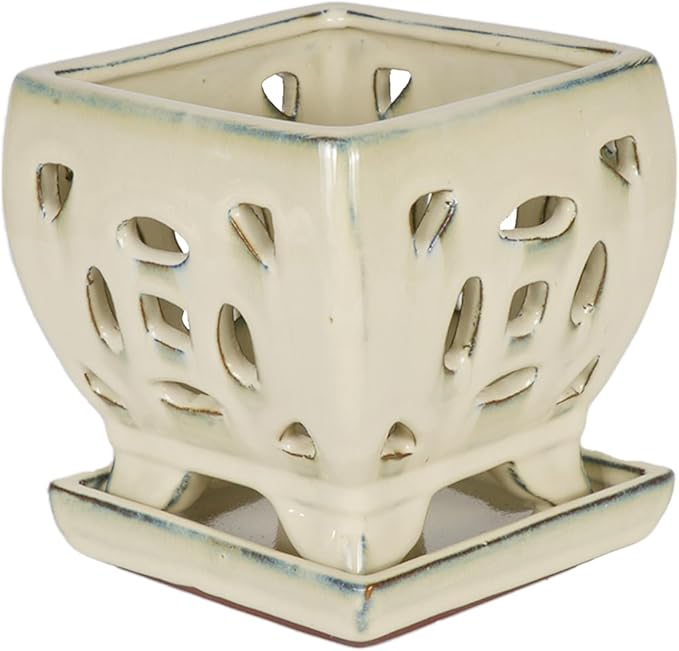 W&W Orchid Pot with Holes and Saucer for Repotting, Cream White, 5.5 Inches