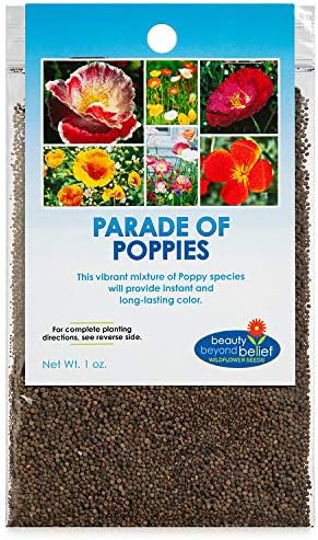 Parade of Poppy Wildflower Seeds - 1oz, Open-Pollinated Wildflower Seed Mix Packets, No Fillers, Annual, Perennial Wildflower Seeds, Year Round Planting - 1 oz