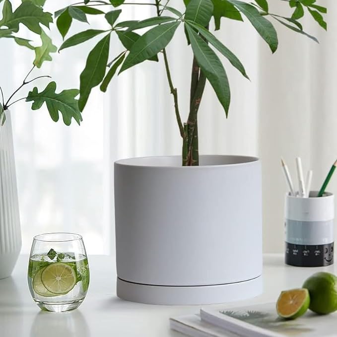 2 Pack Ceramic Plant Saucer Pot Tray 6 Inch, Planter Saucers 4 5 6 7 8 9 10 11 12 13 Inch for Indoors Outdoor, Durable Sturdy Flower Drainage drip Water Tray for Glazed Pots Base (6.4 Inch-White)