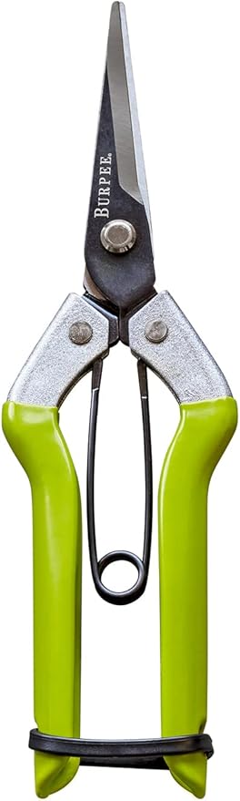 Burpee CR725 Garden Pruning Shears - Garden Hand Tools - Lightweight Precise Pruners for Gardening - Great for Flower Trimming or Vegetable Harvesting - Gardener Gifts