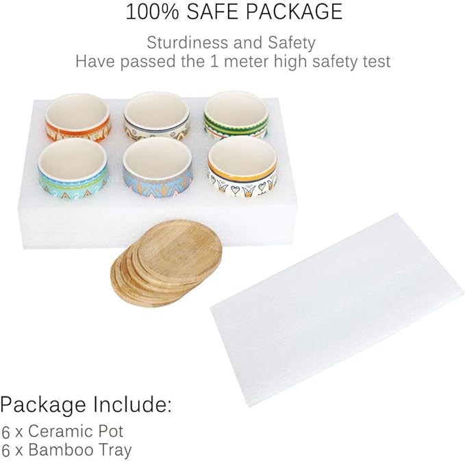 Succulent Plant Pots - 3.1 inch Ceramic Succulent Planter -Cylinder Flower Pots for Cactus with Drainage Hole and Bamboo Tray, 6 Pack (Multicolor1)