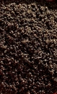 Low Crawler Castings | 100% Pure Organic Worm Castings (4Lbs) | Premium Lawn & Garden Fertilizer | Great Gift for a Gardener!