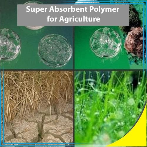 Super Absorbent Polymer Helps Plant Growth and Plant Establishment (1 Pound)