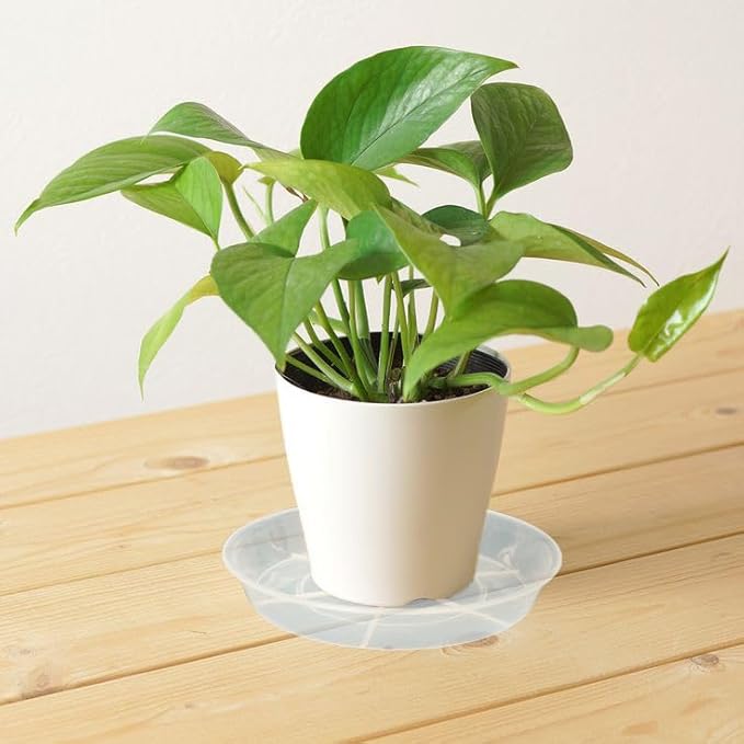 6 Pack Plant Saucer Drip Tray 16 inch, Potting Trays for Plants, Heavy Sturdy Plastic Planter Flower Pot Saucers for Indoor Outdoor Garden, Plant Water Drip Trays for pots (16", Clear)