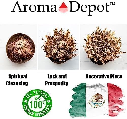 TWO - Rose of Jericho Flower I MEDIUM Size | Flor de Jericó - Resurrection Plant | Selaginella Lepidophylla | Dried Rose I Doradilla Plant | 3''' - 4'' each I Spiritual Cleansing, Luck, and Prosperity