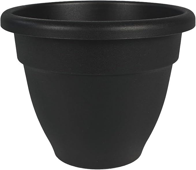 The HC Companies 8 Inch Caribbean Planter - Lightweight Indoor Outdoor Plastic Plant Pot for Herbs and Flowers, Black
