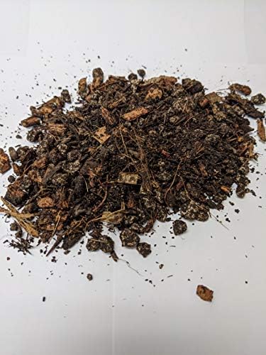 De La Tanks House Plant Mix 1 qt Bag - Premium Indoor Plant Soil Superior Indoor Potting Soil All-Purpose Potting Mix for Houseplants - Potting Soil for Indoor Plants All-Purpose Potting Mix