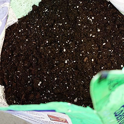 (16qt) Sprout Island Blend, Organic & Natural Seed Starter for Seed Germination & Root Plant Cuttings