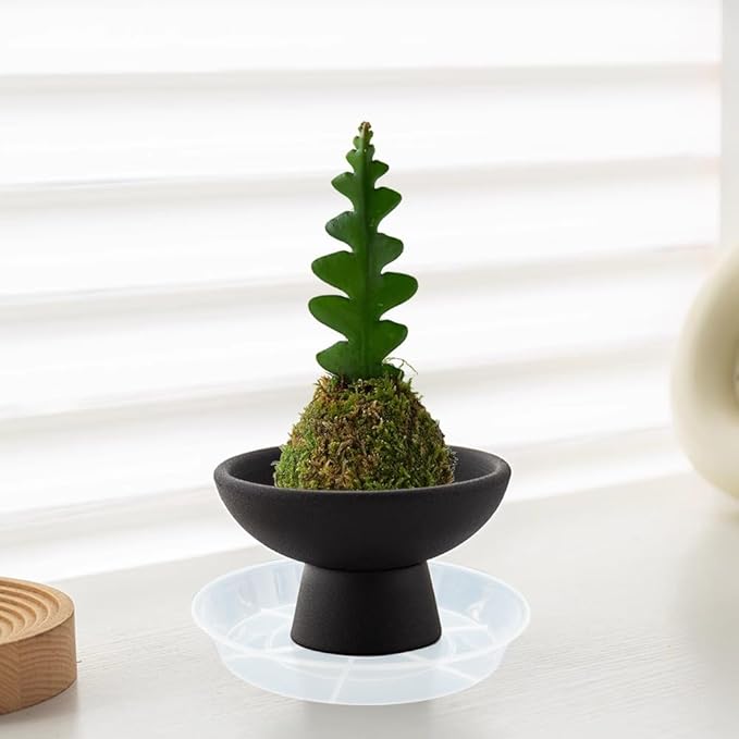 4 Pack Plant Saucer Drip Tray 17 inch, Plant Trays for Indoors No Holes, Heavy Sturdy Plastic Planter Pot Saucers for Garden, Plant Water Drip Trays for pots (17" 4Pack, Clear)