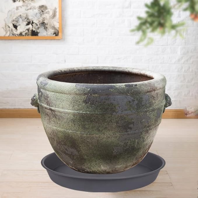 Plant Saucer, Plant Saucers