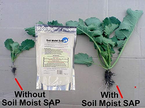 Super Absorbent Polymer Helps Plant Growth and Plant Establishment (45 Pounds)