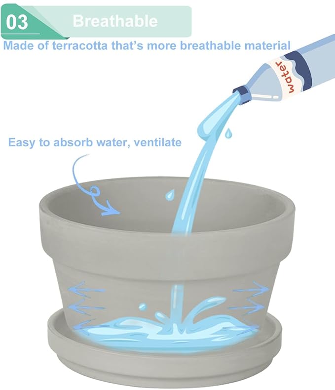 vensovo 5.7 Inch Grey Terracotta Shallow Succulent Pots - 6 Pack Terra Cotta Clay Pot with Saucer, Cacuts Indoor and Outdoor Planters with Drainage Hole