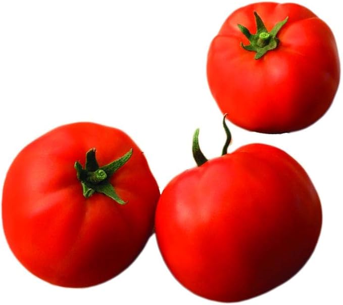 Park Seed Variety of Tomato Vegetable Seeds, Plant Seeds, Easy to Grow, Perfect for Harvesting, Big Yummy Hybrid, Pack of 25