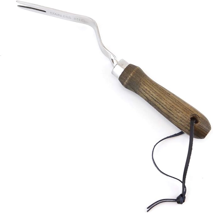 Burpee 12" Stainless Steel Weeder | Durable Long Lasting Garden Tool | Leather Wrist Strap 5" Handle, Walnut