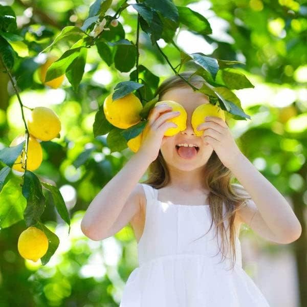 Gardenera's Premium Lemon Tree Soil Mix - Perfect Drainage and Nutrient Retention for Citrus Limon Trees - 3 Quart