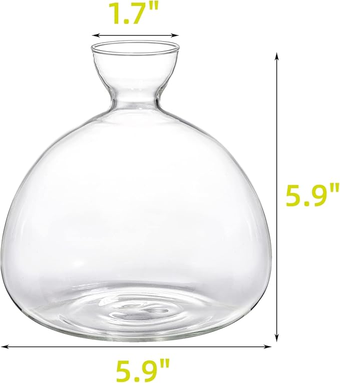 Hiceeden Avocado Seed Starter Vase Planter, Clear Avocado Tree Growing Kit Pot, Medium Avocado Vase Grow Glass Plant Pot Gift for Indoor Outdoor