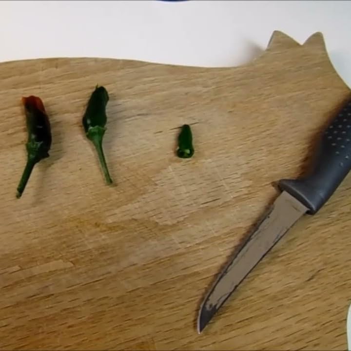 Premium Black Cobra Pepper (Capsicum Annuum) - Rare & Exotic Hot Chili Pepper, Perfect for Home Gardening and Gourmet Cooking (4 bkcbr pep Cups)