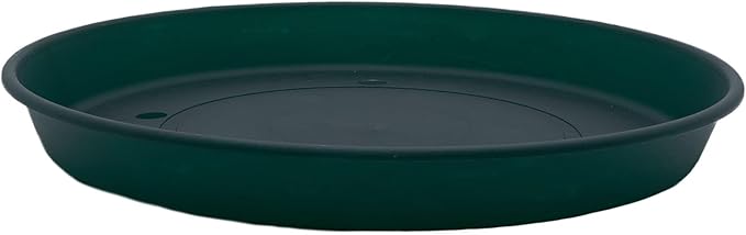 The HC Companies 14 Inch Round Prima Plastic Plant Saucer - Indoor Outdoor Plant Trays for Pots - 14.17 Inchx14.17 Inchx1.69 Inch in Evergreen
