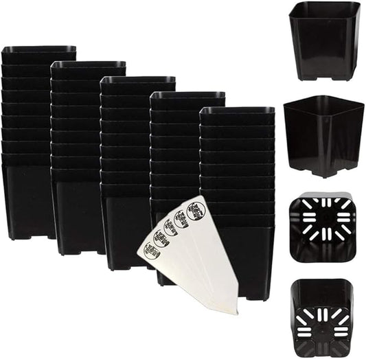 The Hydroponic City Black Square Flower Nursery Pots for Starting Seedlings, Succulents, or Cacti - 2" x 2", Pack of 50 + 5 THCity Stakes