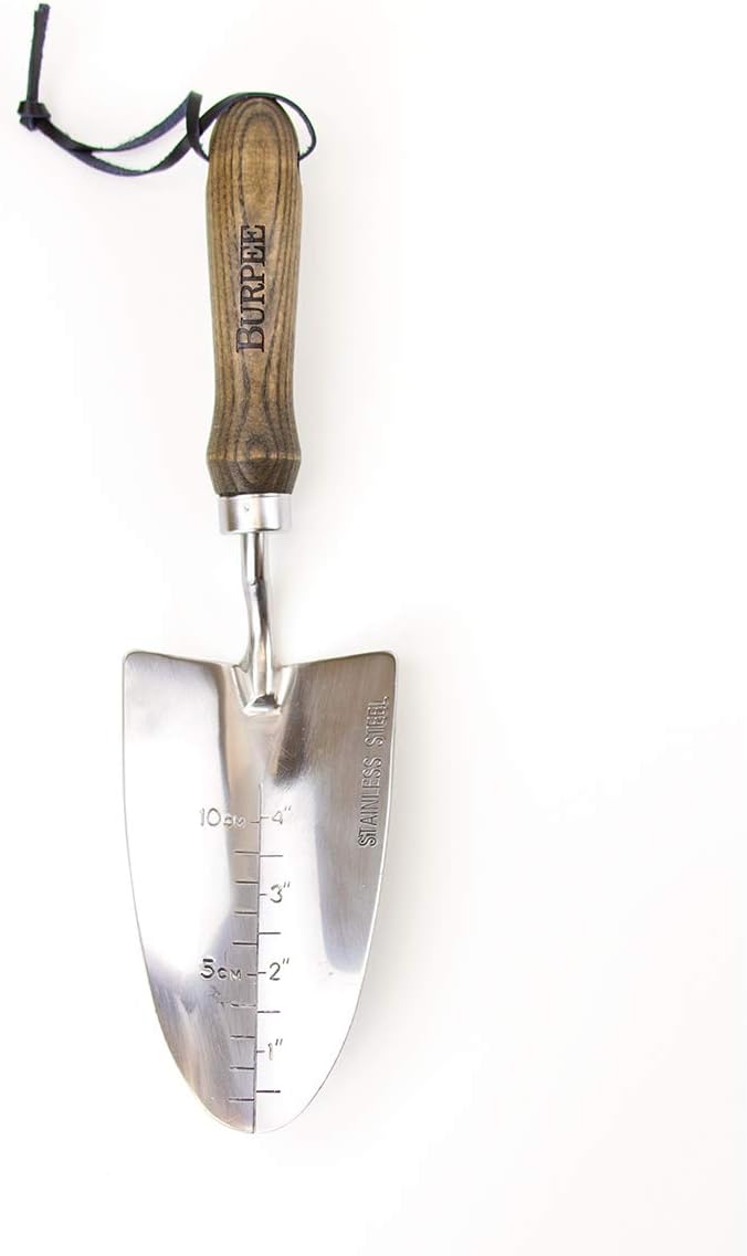 Burpee 13" Stainless Steel Trowel | Durable Long Lasting Garden Tool | Leather Wrist Strap 5" Handle, Walnut