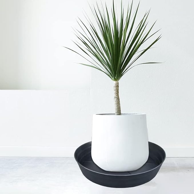 20 Inch Extra Large Plant Saucers, Extra-Deep 3.7 in Black Drip Trays for Flower Pot, Heavy Duty Drainage Tray Indoors No Holes, 2 Pack Plastic Planter Plate Water Catcher for Pots Base 16 17 18 in