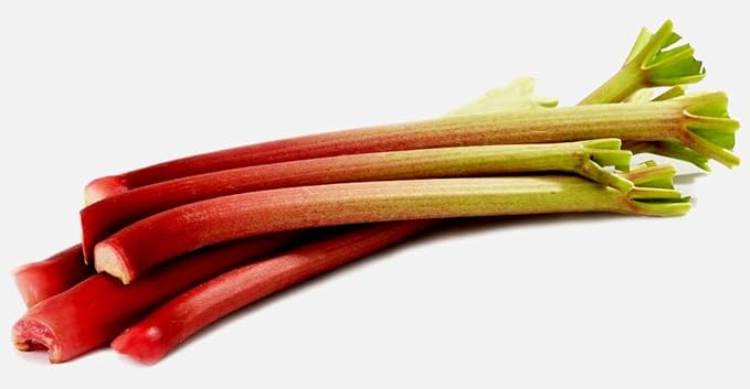 Rhubarb Seeds for Planting Pie Plant Rheum Australe About 50 Seeds