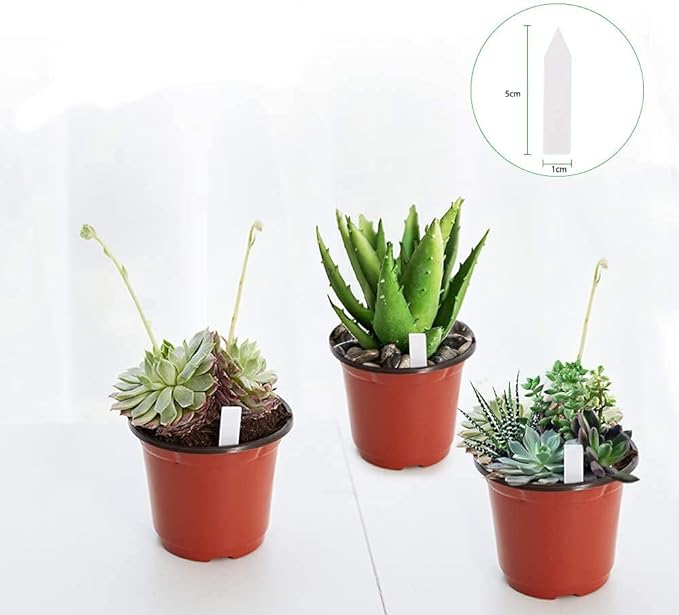 JERIA 100-Pack 4 Inch Plastic Plant Nursery Pots Come with 100 Pcs Plant Labels, Seedling Flower Plant Container and Seed Starting Pots