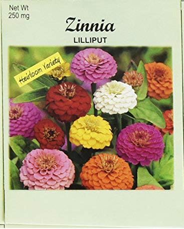 Set of 50 Flower Seed Packets! Flower Seeds in Bulk - Made in The USA (50, Zinnia Lilliput)