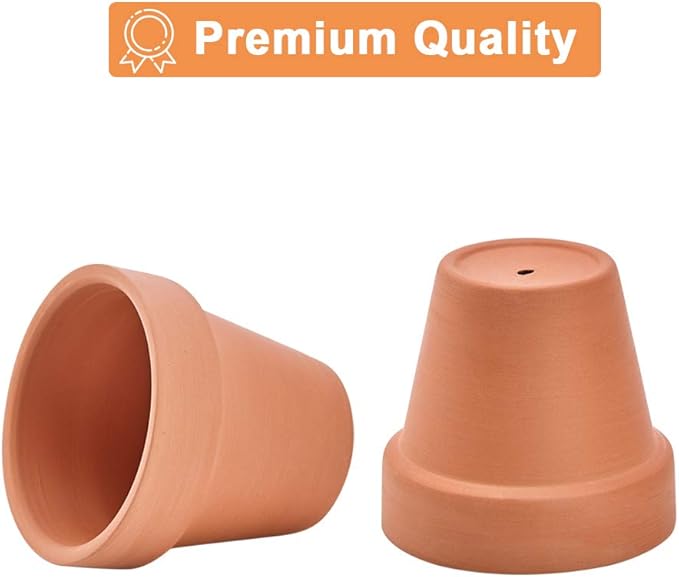 Riseuvo 32pcs 2" Small Mini Terracotta & Clay Pot Planter - Cactus Flower Nursery Terra Cotta Pots with Drainage, Perfect for Indoor/Outdoor Plants, Crafts