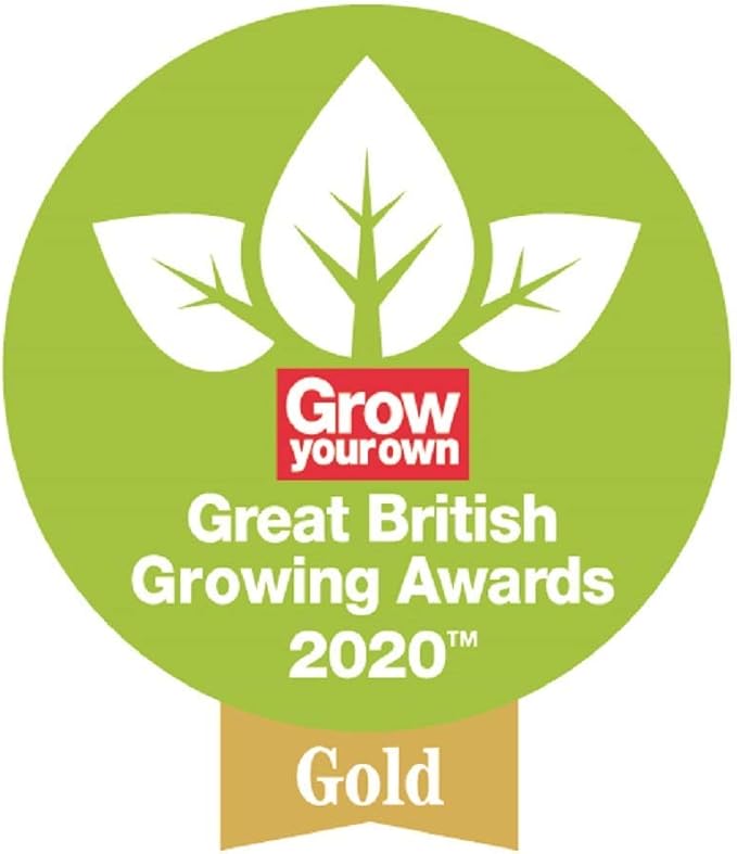 Spear & Jackson 5040WF Traditional Stainless Weedfork