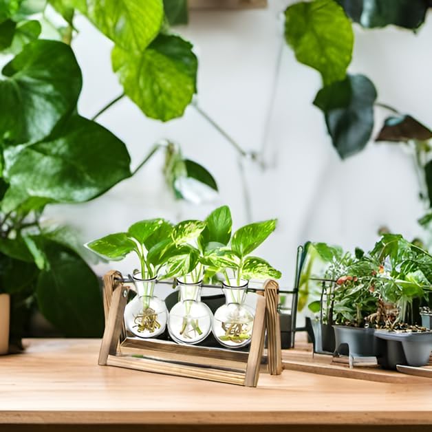 Ivolador Propagation Station, Plants Terrarium, Plants Lover Gifts for Women,Plant Cutting Holder Home décor,Gifts for Women,House Warming Gifts New Home for her