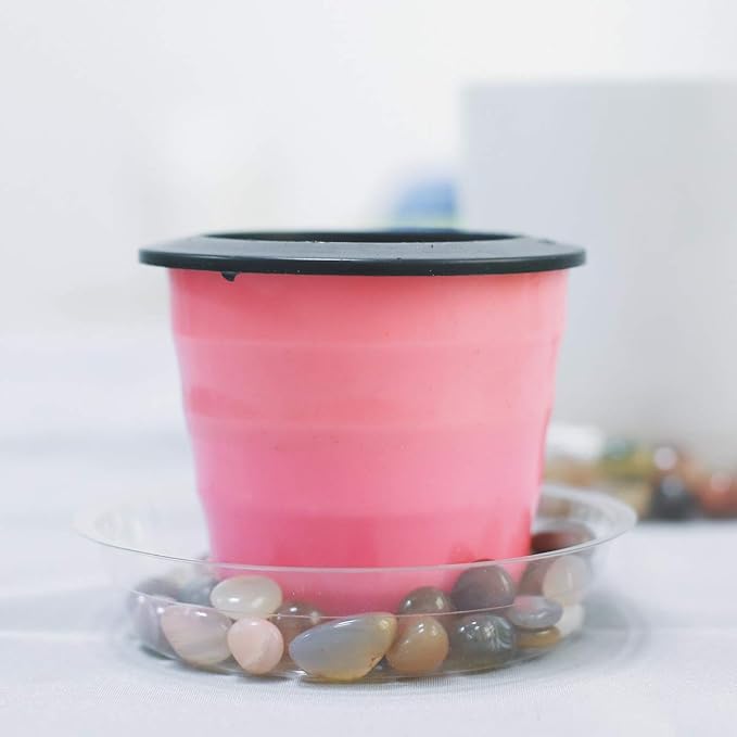 TRUEDAYS 12 Inch 5 Pack Clear Plant Saucers Flower Pot Tray Excellent for Indoor & Outdoor Plants