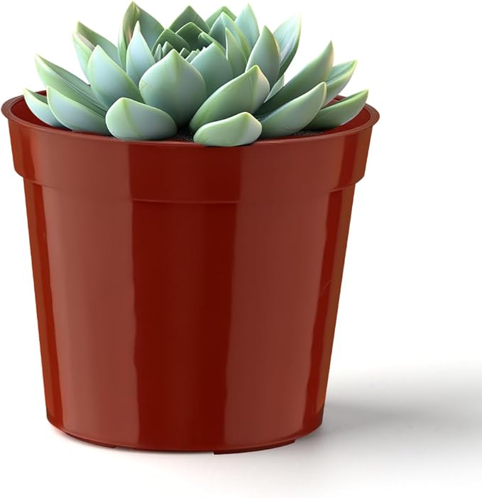 100-Pack 2.5 inches Plus Tiny Round Plant Pots Succulent Seedling Nursery Pots Made from Virgin Grade PP Material(Tiny, 68mm2.5 inch)