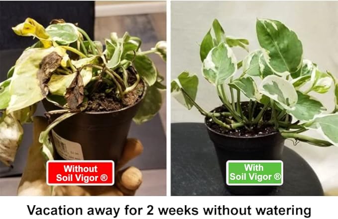 Potassium Polyacrylate for Garden Lasts Up to 7 Years in Soil (10)